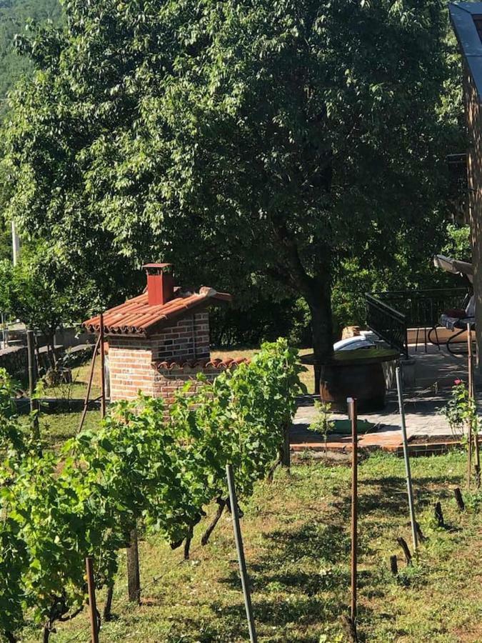 T-A Apartment Rijeka Crnojevića Zewnętrze zdjęcie