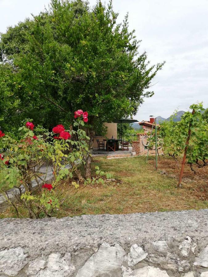 T-A Apartment Rijeka Crnojevića Pokój zdjęcie